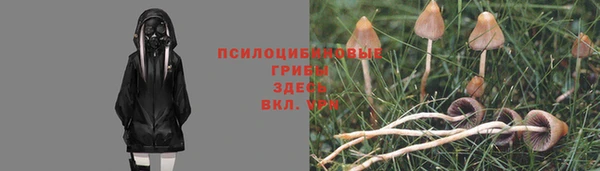 apvp Абинск