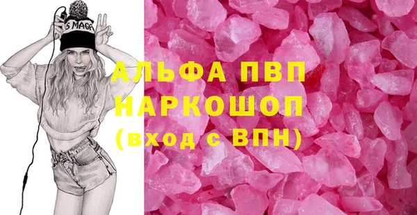 СК Новодвинск