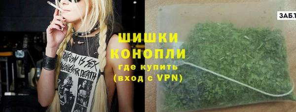 крисы Абаза